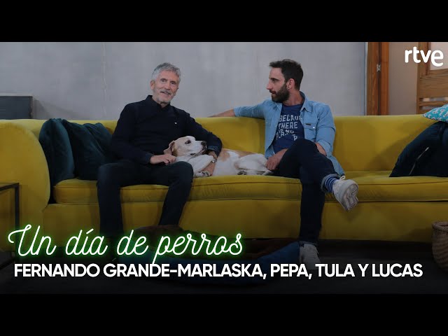 Fernando Grande-Marlaska presenta a Pepa, Tula y Lucas | Un día de perros con Dani Rovira