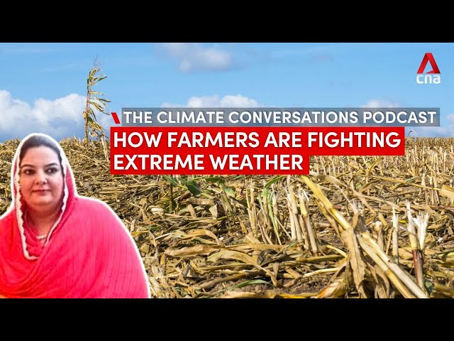 ⁣How farmers are fighting back against extreme weather | The Climate Conversations podcast