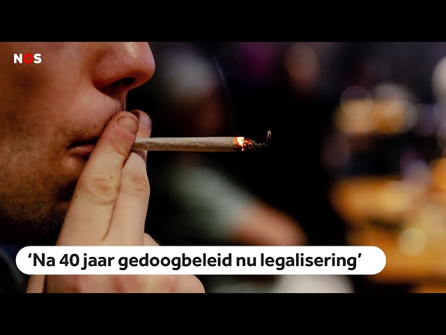 ⁣Eerste legale wiet te koop in Brabantse coffeeshops