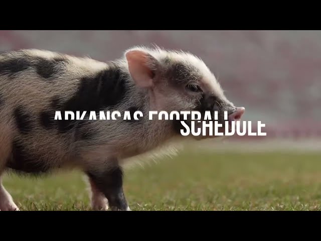⁣Woo pig! Complete 2024 Arkansas Razorbacks Football schedule revealed