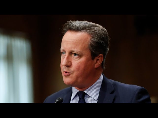 UK Foreign Minister David Cameron backs calls for Gaza ceasefire