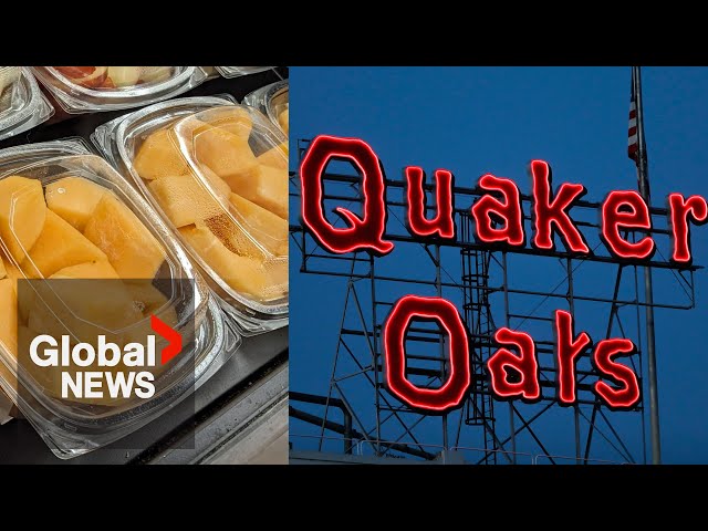 Science behind salmonella: Quaker Oats latest company to recall products over contamination fears