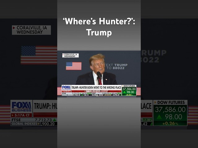 Trump rips Hunter Biden's Capitol Hill appearance: 'Went to the wrong place' #shorts