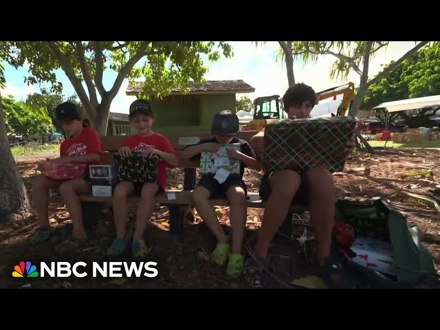 Hundreds of children have wishes granted in massive Maui toy drive