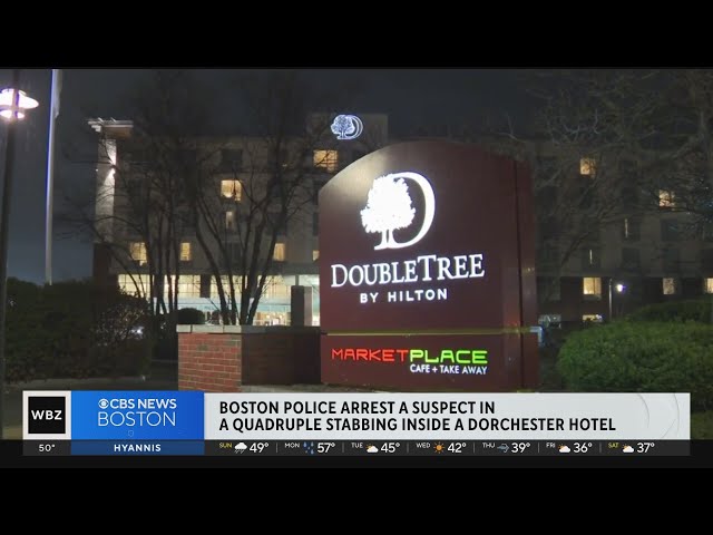 Suspect in custody after 4 people found stabbed at Dorchester hotel