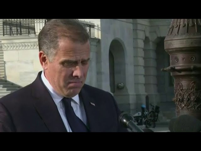 Hunter Biden deflecting by invoking addiction: ex-Bush aide