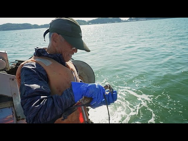 Nach dem Tsunami: Japans Fischergemeinden blicken in die Zukunft