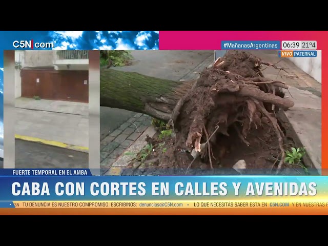 DESTROZOS en la CIUDAD tras el TEMPORAL: ASÍ AMANECIÓ PATERNAL