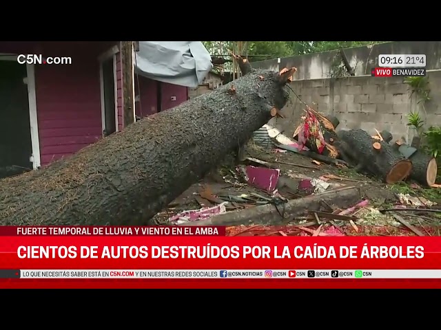 TEMPORAL en BENAVIDEZ: LOS DESTROZOS tras el TEMPORAL