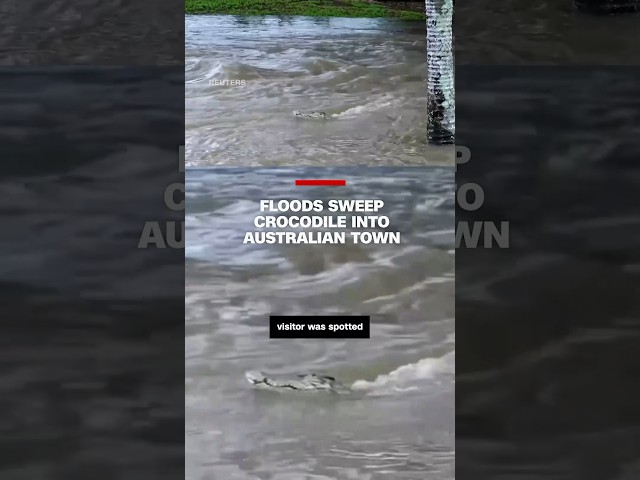 Floods sweep crocodile into Australian town