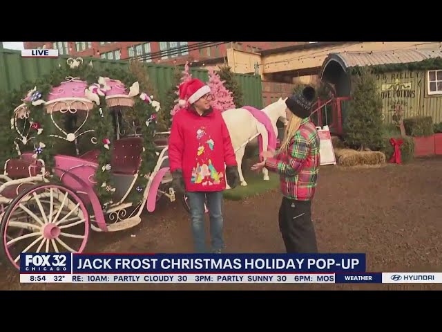 Jack Frost Christmas Holiday Pop-up can help get you in the holiday spirit.