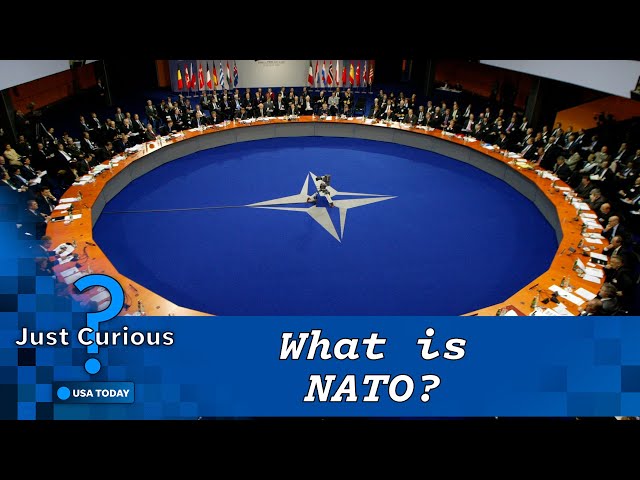 What is NATO? These countries make up the powerful alliance | JUST CURIOUS