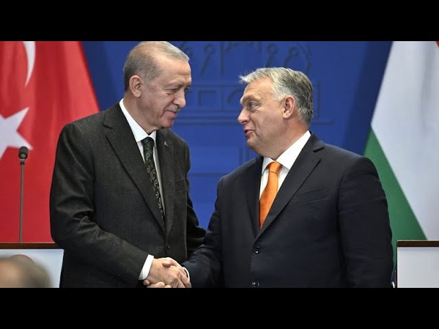 Erdogan und Orban halten beim Poker um Schwedens Nato-Beitritt zusammen