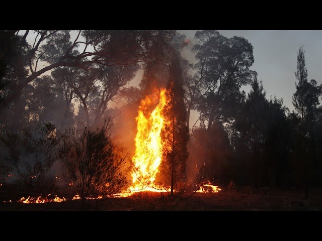 Narrabri locals urged to seek shelter as bushfire rages