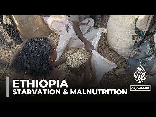 Starvation in Ethiopia: Officials blame fall in food aid for deaths