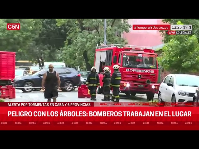 TEMPORAL en CABA: BOMBEROS trabajan con los ÁRBOLES CAÍDOS