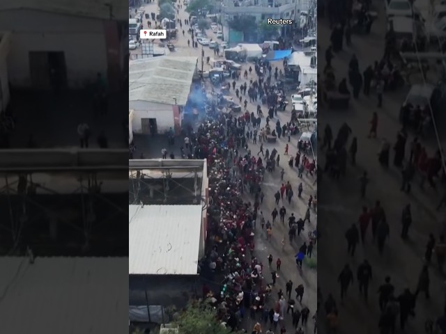 People in Gaza stand in long lines for food #shorts