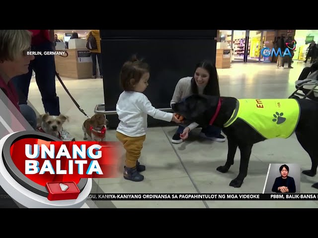 Cuddle-dogs sa Berlin Airport, pantanggal-stress ng mga pasahero | UB