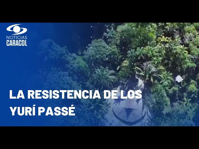 ¿Quiénes son los yurí passé, el pueblo no contactado que hoy está amenazado por la minería ilegal?