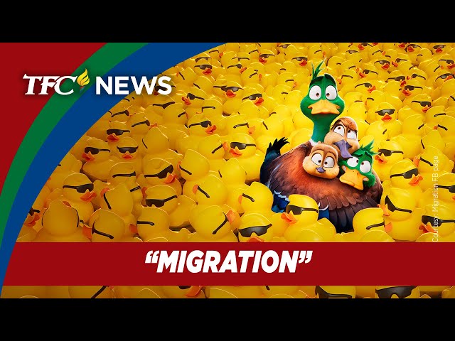 'Migration' takes flight with joyful story, star-studded cast | TFC News California, USA