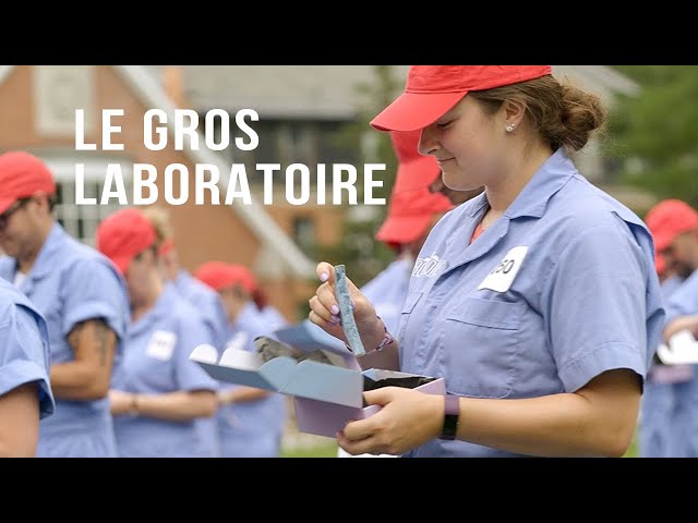 Est-on vraiment repoussé par la nourriture bleue? | Le gros laboratoire