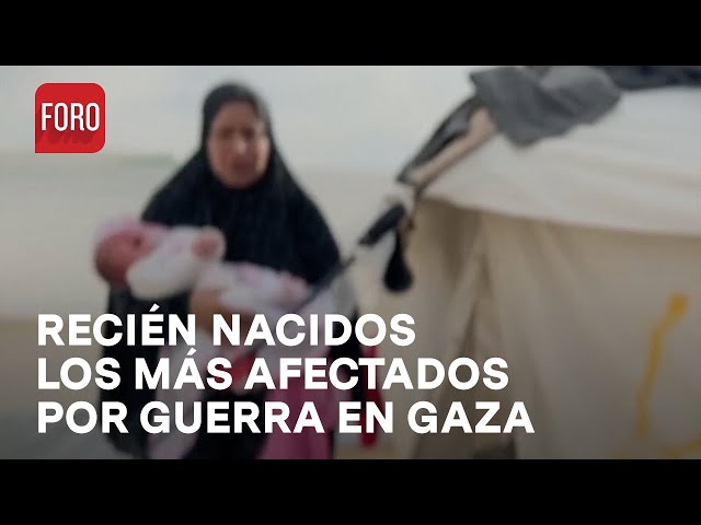 Guerra Israel - Hamás: recién nacidos los más afectados en Gaza - Las Noticias