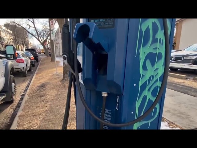 Electric vehicle owners react to expected federal regulations