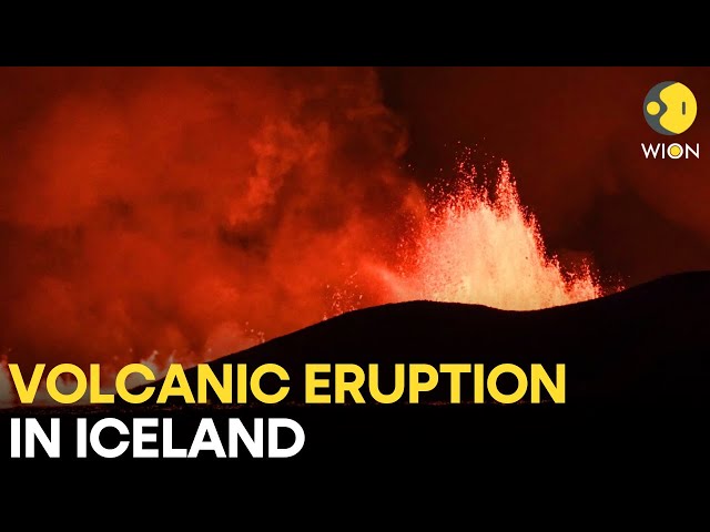 ICELAND Volcanic Eruption LIVE: Eyewitness captures fiery volcano eruption in Iceland | WION