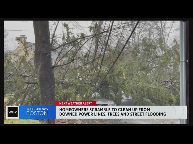 Homeowners clean up from powerful storm