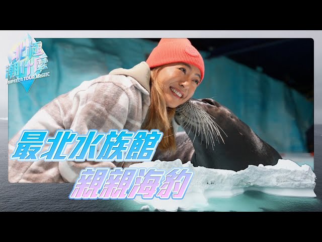 ⁣北極潮什麼 ｜最北水族館 親親海獅｜#梁芷珮｜#北極｜特浪索｜#旅遊