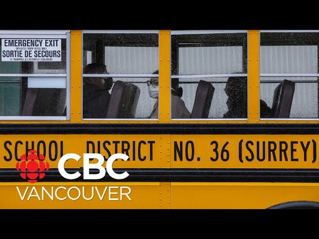 Surrey school district feels caught between city and province