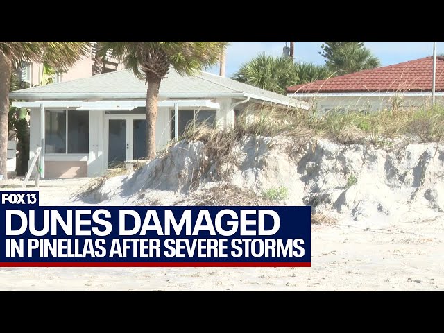 Severe weather impacts newly restored dunes on Pinellas County beaches