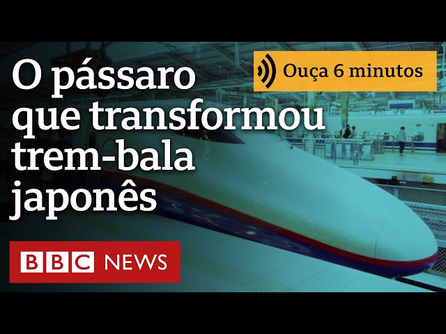 Como hobby de engenheiro japonês solucionou grande problema do trem-bala