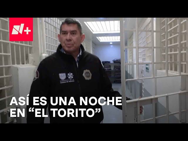 ¿Cómo se vive una noche en "El Torito"? - En Punto