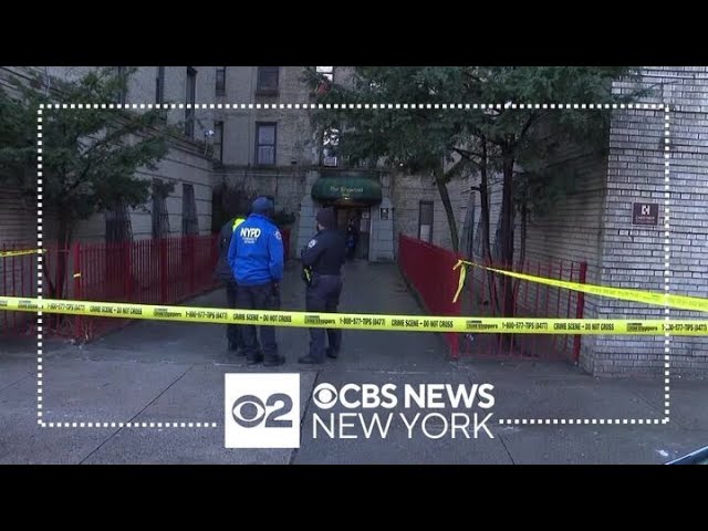 5-year-old twins found dead inside Bronx apartment, NYPD says