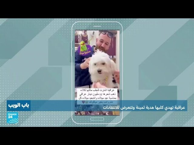⁣عراقية تهدي كلبها هدية ثمينة وتتعرض للإنتقادات • فرانس 24 / FRANCE 24