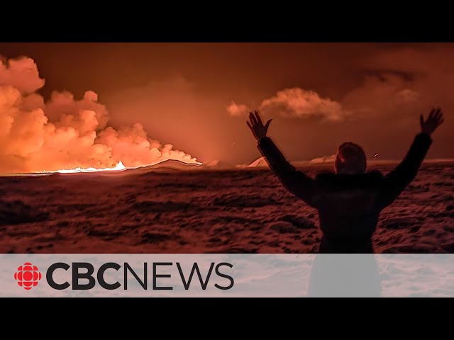 Volcano in Iceland erupts after weeks of seismic activity