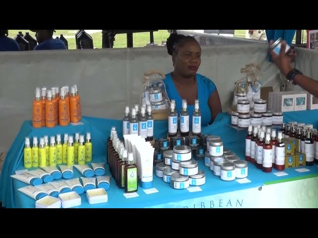 EXPORT ST LUCIA HOSTS BUSINESS EXPO DURING ARC CELEBRATIONS.(December 18th 2023)