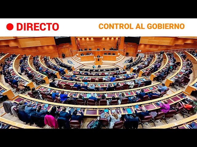 SENADO  EN DIRECTO: Sesión de CONTROL al GOBIERNO en el SENADO (19/12/2023) | RTVE Noticias