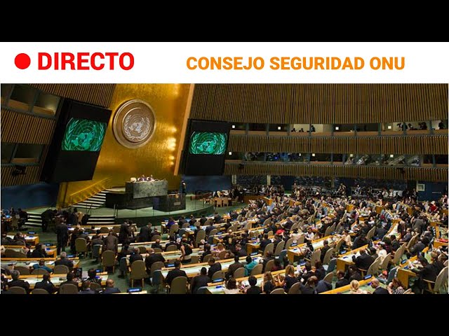 ISRAEL-GAZA  EN DIRECTO: CONSEJO de SEGURIDAD de la ONU sobre la SITUACIÓN en la GUERRA | RTVE