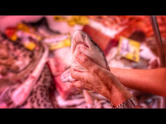 Hai-SOS: Initiativen zur Wiederbelebung der Raubfischpopulationen in Europa