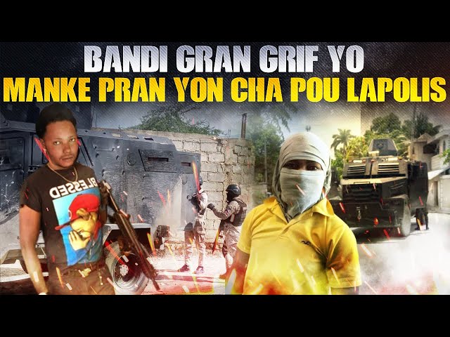 Bandi Gran Grif Yo Manke Touye Yon paket Polisye Nan Yon Blende