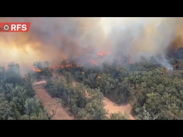 Narrabri bushfire threat begins to ease amid rainfall