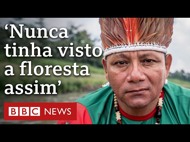 Seca histórica na Amazônia pode levar floresta a ponto de 'não retorno'?