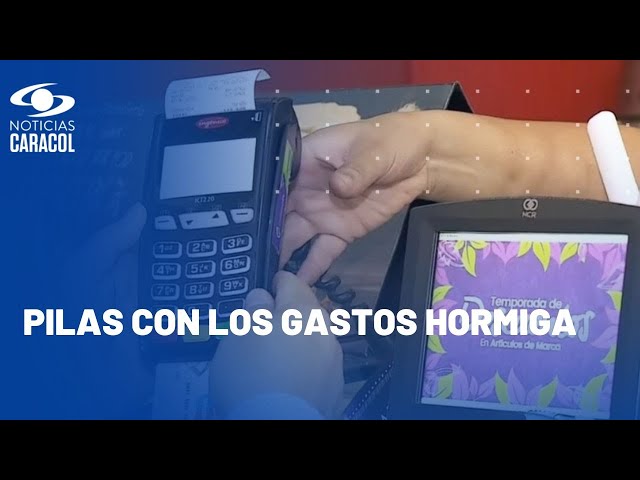 ¿Cómo elaborar un presupuesto para que le alcance la plata el próximo año? Tome nota