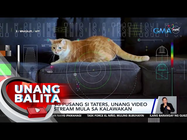 Video ng pusang si taters, unang video na na-stream mula sa kalawakan | UB