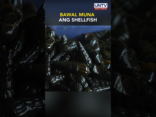 Ilang baybayin sa Western Visayas, positibo sa red tide