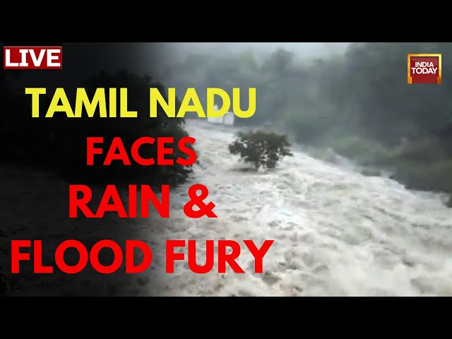 Tamil Nadu Flood Updates LIVE: Tamil Nadu Rain Wreaks Havoc, IMD Issues Red Alert | Chennai News