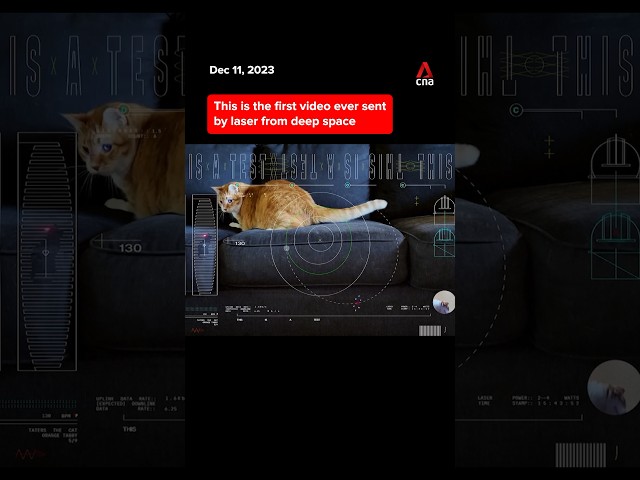 This video of a cat is the first ever sent by laser from deep space