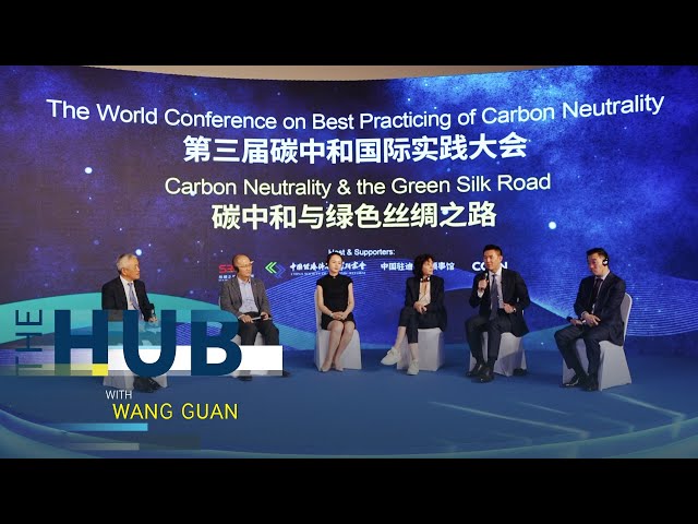 Carbon neutrality and Green Silk Road at COP28